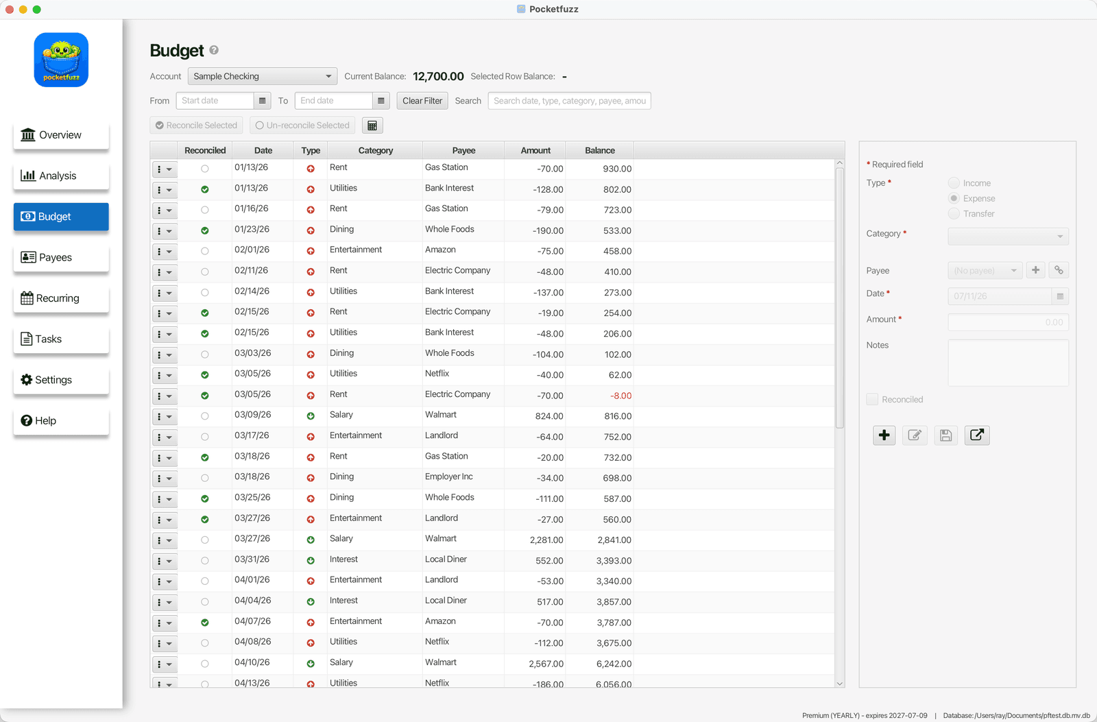 Pocketfuzz Desktop Budget screen showing a running-balance transaction ledger with reconciliation